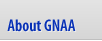 About GNAA